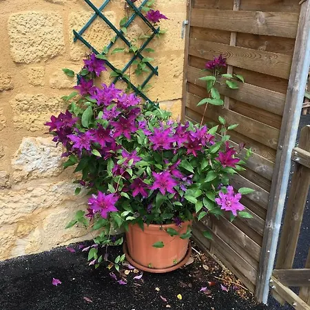 Bed and Breakfast Entre Lot Et Dordogne Saint-Cirq-Madelon